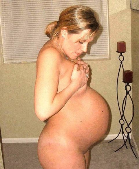 Фото беременных телок